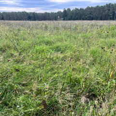 23-09-18 11-54-22 7027